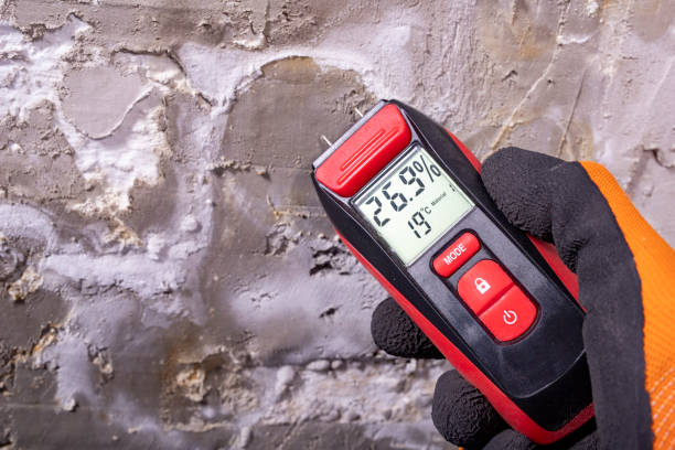 Home Mold Removal in Trumansburg, NY