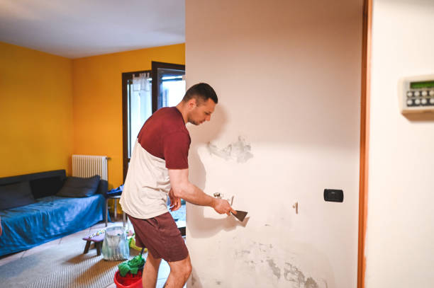 Best Certified Mold Removal  in Trumansburg, NY