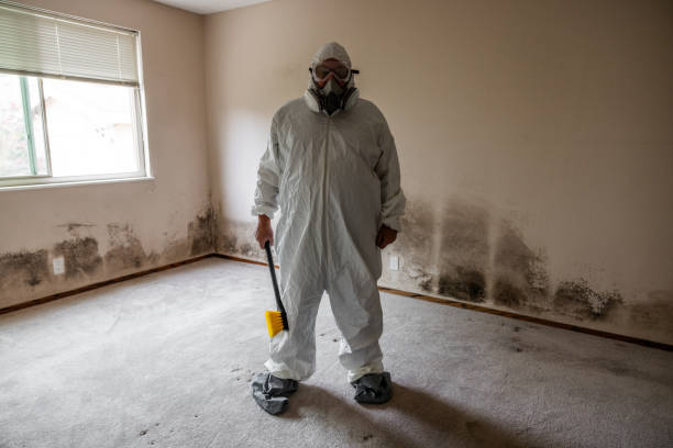 Best Local Mold Removal Service  in Trumansburg, NY