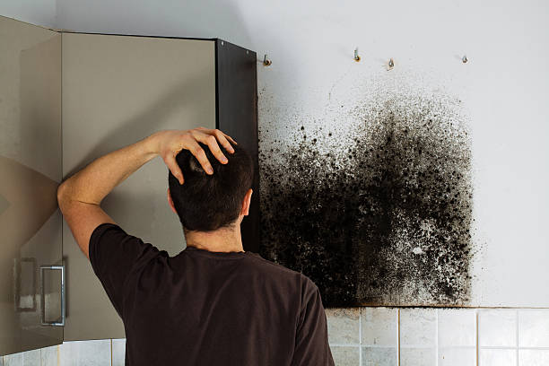 Best Emergency Mold Removal  in Trumansburg, NY